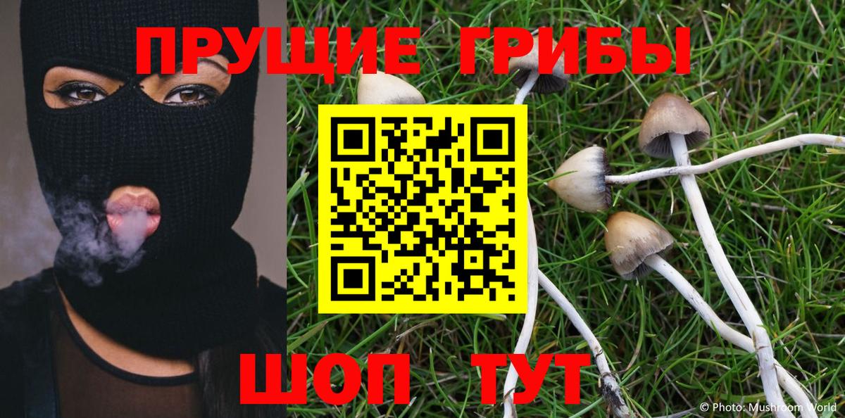 Галлюциногенные грибы Psilocybine cubensis  магазин  наркотиков  Курчатов  Вход с VPN 