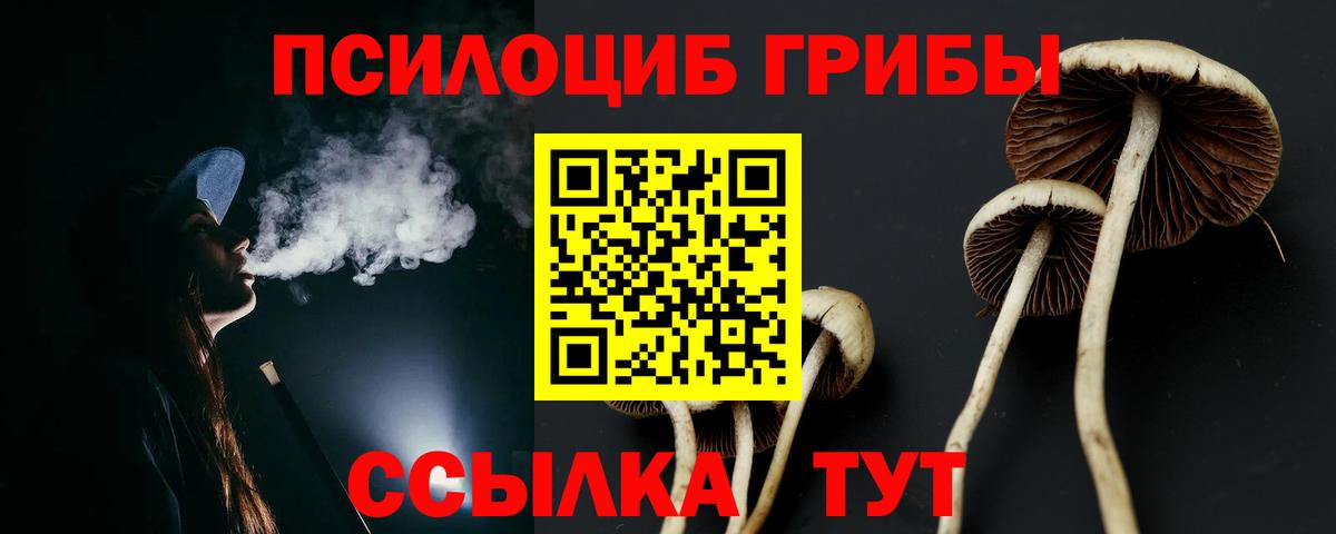 Галлюциногенные грибы мицелий Курчатов